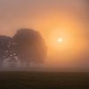Zonsopkomst bij de Kroezeboom in Fleringen. van Ron Poot