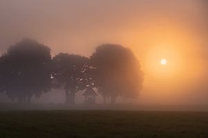 Lever de soleil au Kroezeboom à Fleringen.