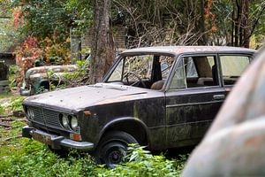Verlassene Autos im Feld.