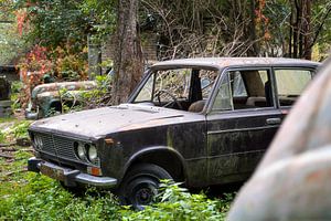 Voitures abandonnées dans le champ. sur Roman Robroek - Photos de bâtiments abandonnés