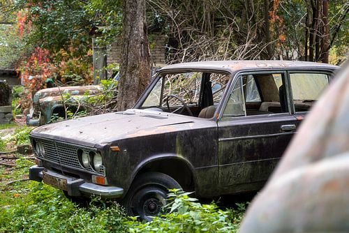 Voitures abandonnées dans le champ.