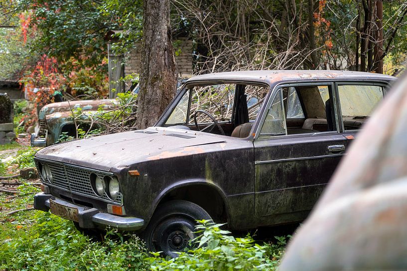 Verlassene Autos im Feld. von Roman Robroek – Fotos verlassener Gebäude