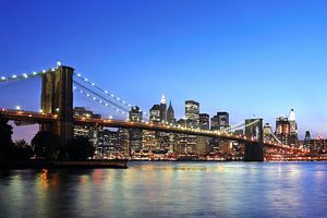 Brooklyn Bridge van Paul van Baardwijk