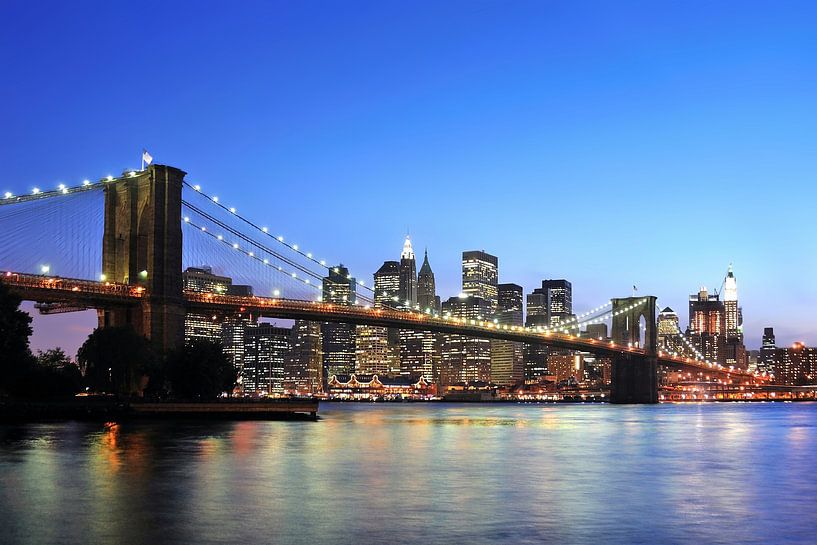 Pont de Brooklyn par Paul van Baardwijk