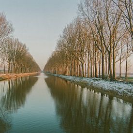 Bomenrij langs de Damse vaart in wintertijd. van Kathy Orbie
