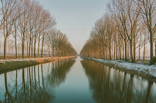 Baumreihe entlang des Staudammkanals im Winter. von Kathy Orbie