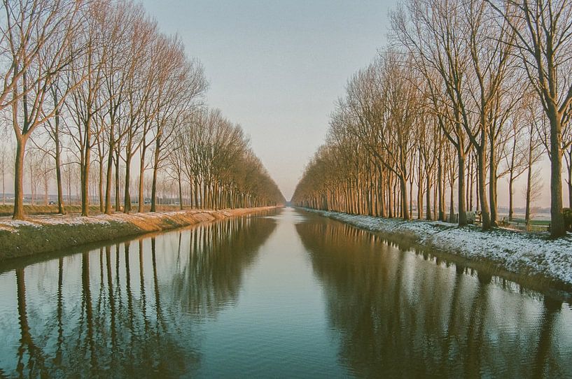 Baumreihe entlang des Staudammkanals im Winter. von Kathy Orbie