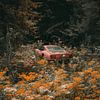 Gone Glory - Old Sports Car with Flowers and Bushes by Karina Brouwer