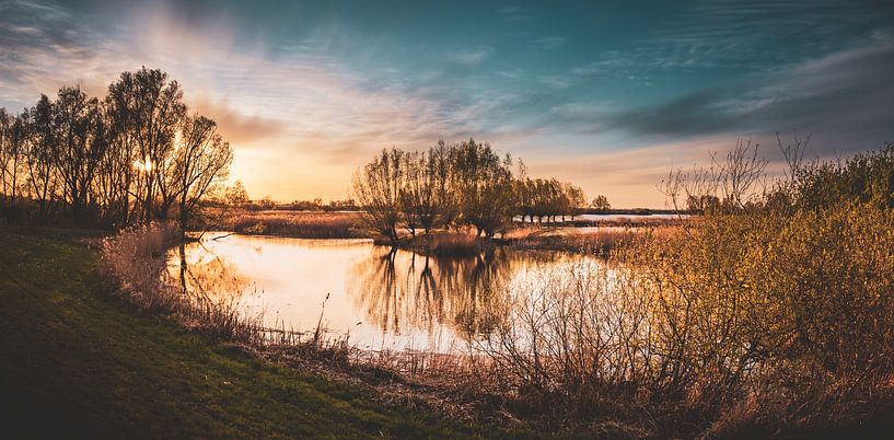 Nature around Zwolle by S van Wezep