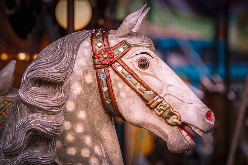 Showpony von Iets van Timoos aan de muur
