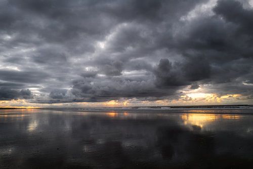L'ombre et la lumière sur Ellen Borggreve