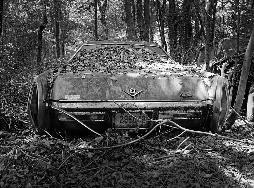 Cadillac -Old Car City,  Georgia USA van Willem van Holten