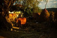 countryside Albania