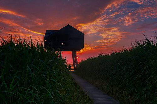 Zonsondergang kiekkaaste