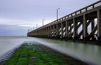 Blankenberge - palisade