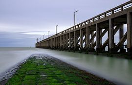 Blankenberge - Palisade von Michel Pyck