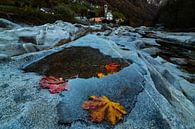 Herfst in Valle Verzasca - Ticino - Zwitserland van Felina Photography thumbnail