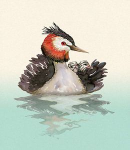 Haubentaucher mit Küken Aquarell