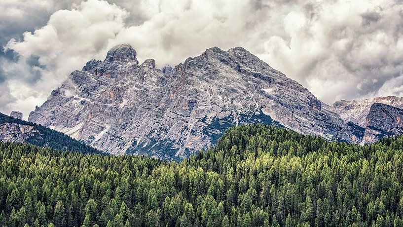 Natur von Manjik Pictures
