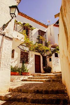 Narrow alley and stairs in Granada by Travel.san