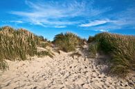 Imaginative sand dunes at Henne Strand in Jutland by Silva Wischeropp thumbnail