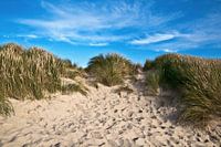 Imaginative sand dunes at Henne Strand in Jutland