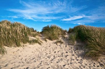 Fantasierijke zandduinen bij Henne Strand in Jutland van Silva Wischeropp