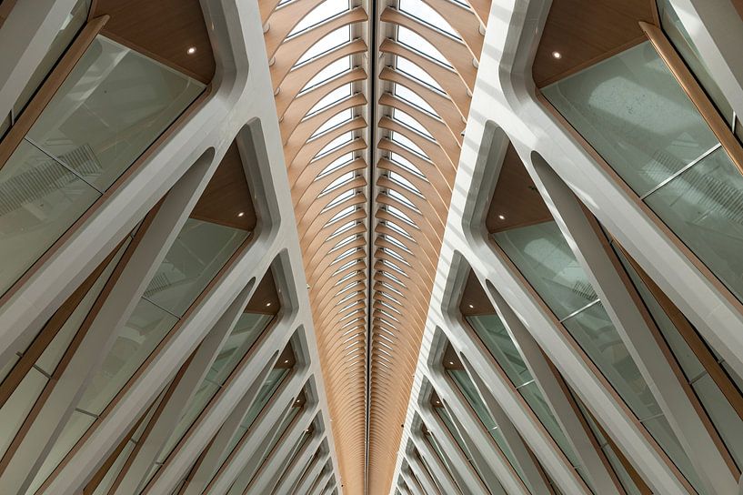 Gare de Bergen par Richard Wareham