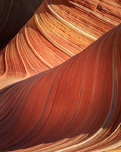 The Wave in de North Coyote Buttes