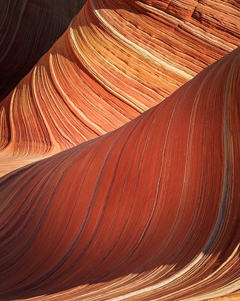 The Wave in the North Coyote Buttes by Henk Meijer Photography