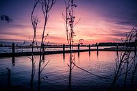 Colourful sunset