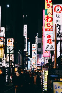 Shinjuku bij Nacht: Tokyo's Neon Jungle van Ken Tempelers
