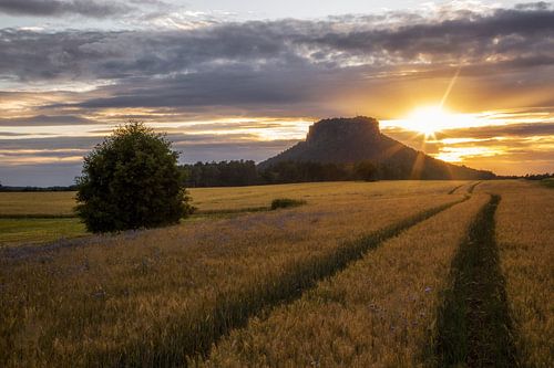 Pierre de lys au coucher du soleil