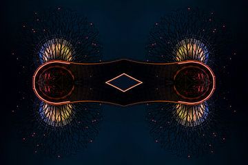 Een andere dimensie – Supertree Grove Singapore