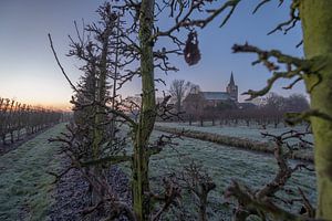 Kerk Erichem tussen fruitbomen sur Moetwil en van Dijk - Fotografie