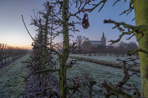 Kerk Erichem tussen fruitbomen