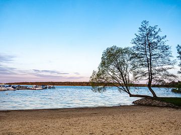 Le lac Müritz dans la région des lacs du Mecklembourg sur Animaflora PicsStock