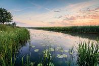 Morning moods by Max ter Burg Fotografie thumbnail