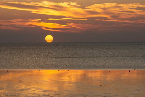 Zonsondergang in Harlingen