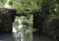 Doorkijkje