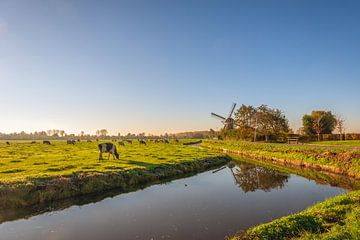 Polderlandschap met koeien en molen, Oud-Alblas van Ruud Morijn