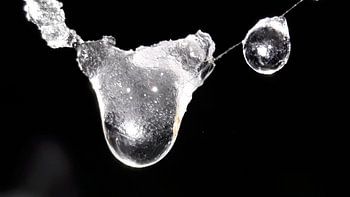 Bevroren druppels aan spinnenweb 