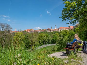 Aussicht auf Rothenburg ob der Tauber in Bayern van Animaflora PicsStock