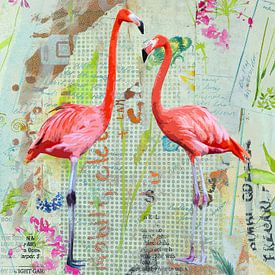 Flamingo paradise by Gabi Hampe