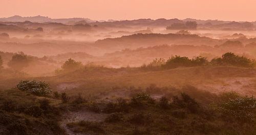 Panorama de brouillard sur les dunes de Katwijk, au bord de la mer