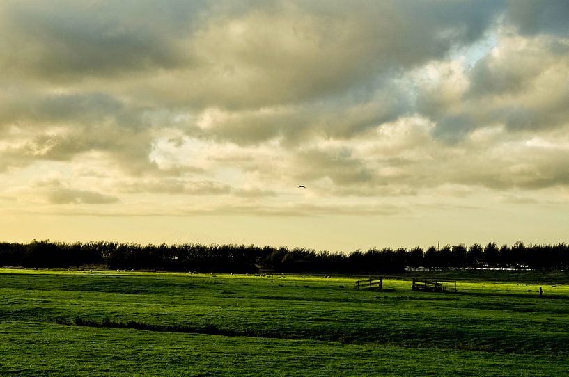 rust in het weiland van Heleen de Silva