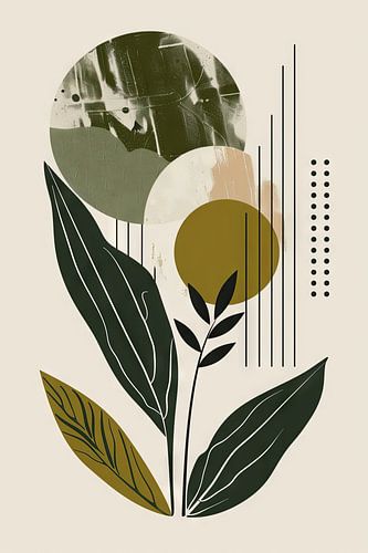 Botanical geometry