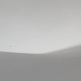 Allein in einer endlosen weißen Landschaft von Nature Laurie Fotografie