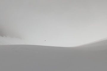 Alleen in een eindeloos wit landschap