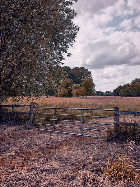 „Tor zur Ruhe – Einblick in die ländliche Idylle“ von Momentaufnahme | Marius Ahlers